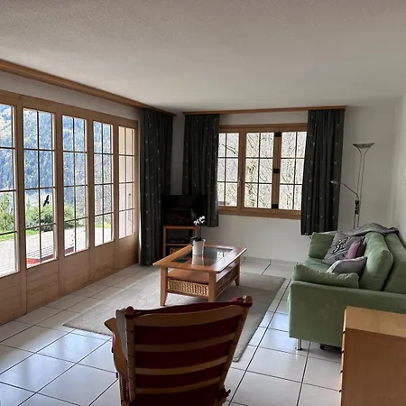 Panorama 1 アパート ヴェンゲン