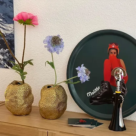 Panorama 1 דירה וונגן