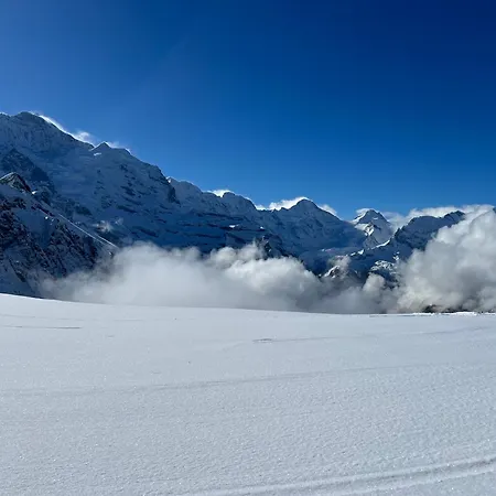 Panorama 1 *