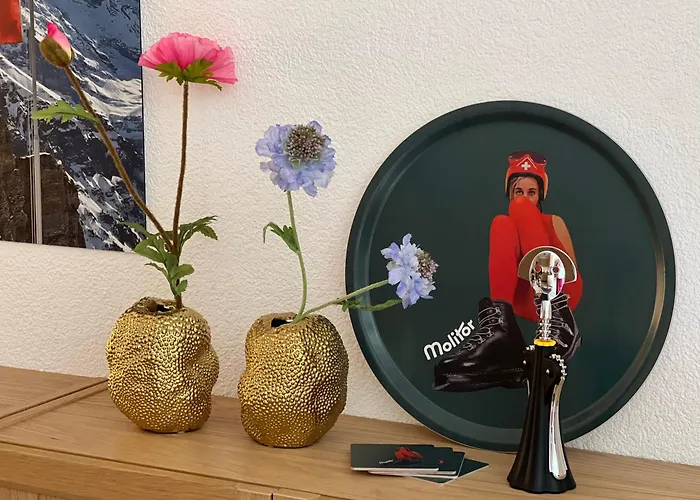 Panorama 1 דירה וונגן