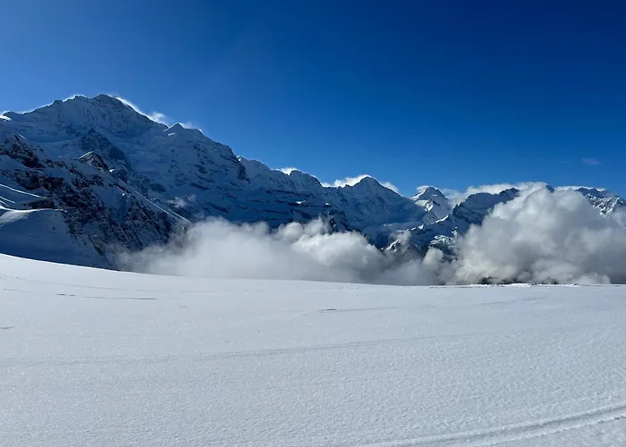 Panorama 1 *